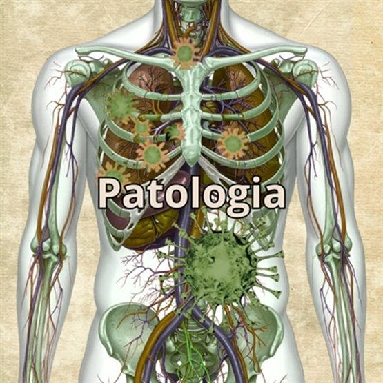 Patologia Aplicada às Terapias Integrativas